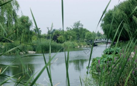 潍坊植物园河景图片