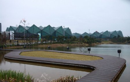 深圳大运会场馆远景图片