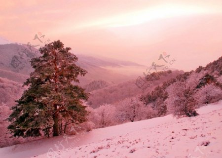 日落下的山坡雪景图片
