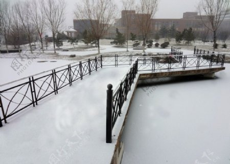雪后的桥图片