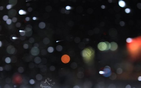雪夜星斑图片