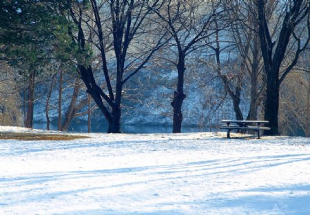 冬景图片