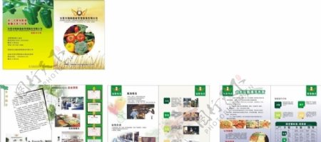 绿色食品画册图片