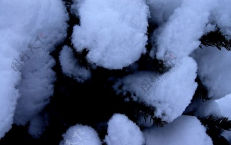 雪后图片