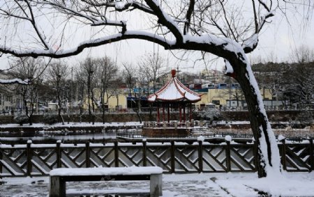 青岛雪景图片