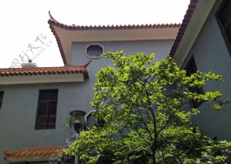 古建风格楼房和绿树图片