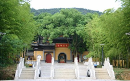 林中寺庙图片