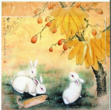 国画兔玉米白兔图片