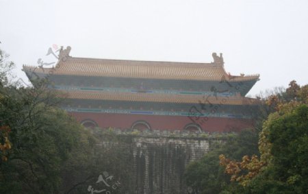 秋日南京图片