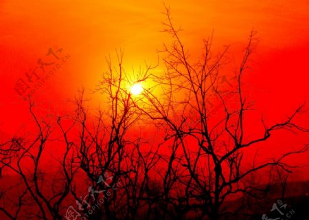 落日夕阳红图片
