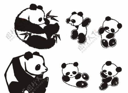 熊猫图案图片