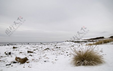 海岸冬景图片