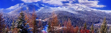 雪山风景画森林树木蓝天白云图片