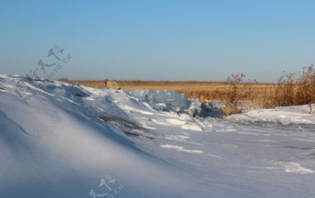 湿地雪景图片