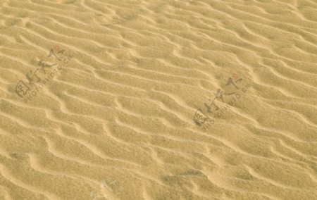 砂丘风纹图片