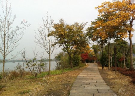 湘湖秋色图片