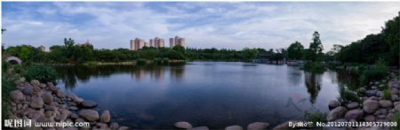 上海植物园全景图图片