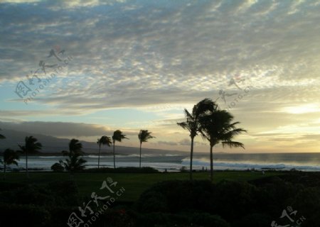 夏威夷海岸美景图片