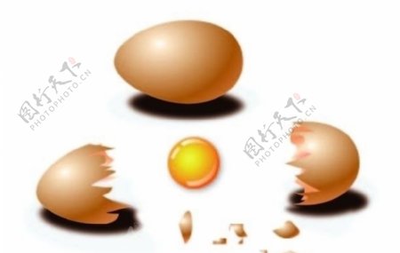 卡通鸡蛋图片