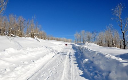 雪乡之路图片