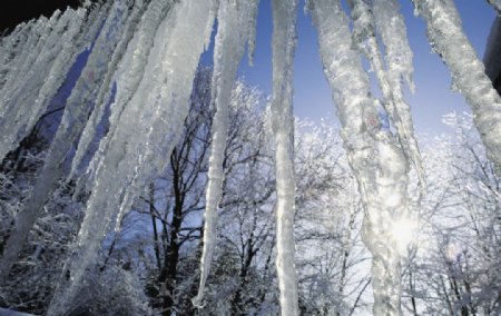 冬季雪景高清图片