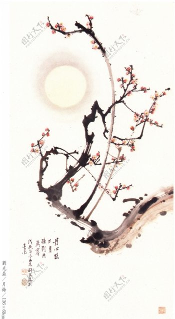 刘光磊国画月梅图片