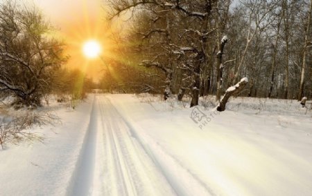 冬季公路白雪风景图片