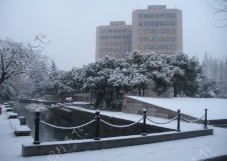 同济大学图书馆雪景图片