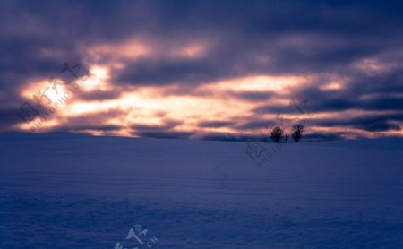 黄昏的雪原图片