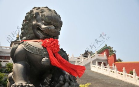 北京八大处某寺庙前石狮图片