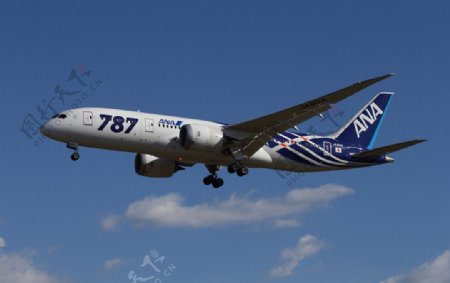 全日空波音787客机图片