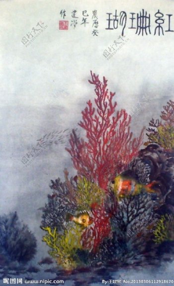 红珊瑚图片