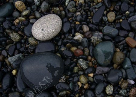 石子图片