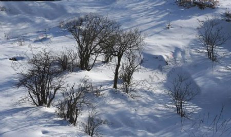 花萼山之冬雪图片