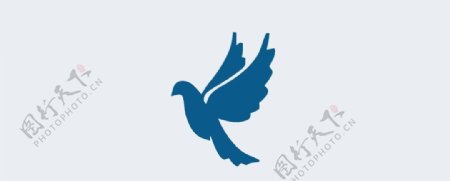 鸽子logo图片