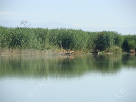 博斯腾湖图片