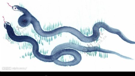 十二生肖蛇水墨画图片
