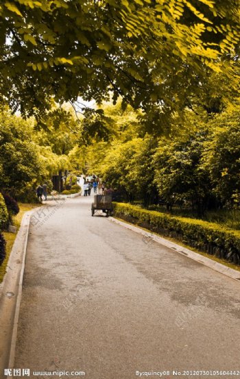 上海鲁迅公园景致图片