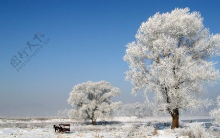 冬天风景图片