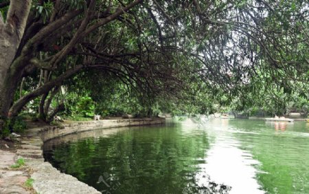 鲁迅公园湖景图片