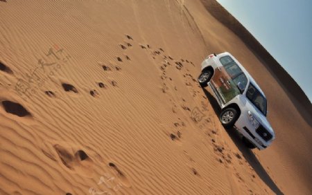 迪拜沙漠图片