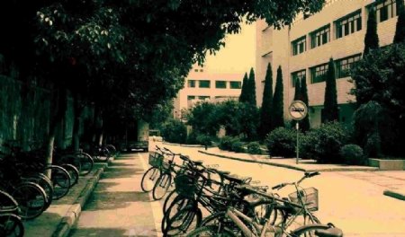 南京大学原浦口校区校园一角图片