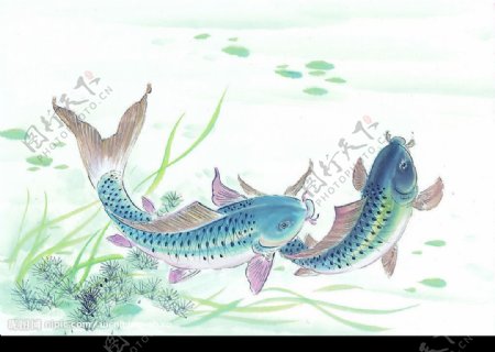 中国画鱼16图片
