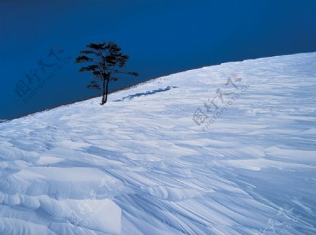 风雪景象图片