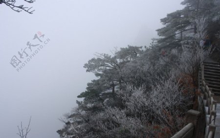 黄山雪景图片