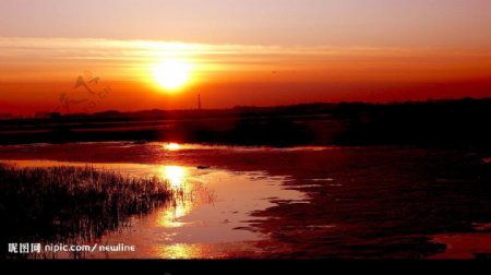 夕陽下的鶴鄉扎龍湖图片