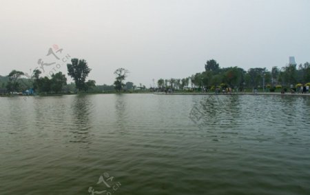 莲花湖杨柳岸图片