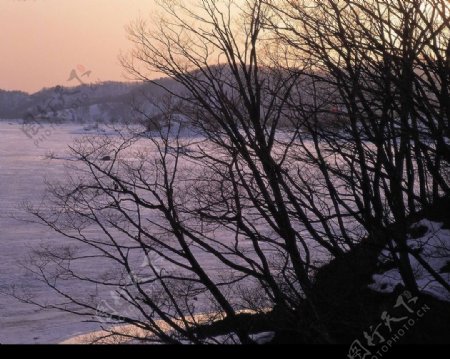冬天的清晨图片