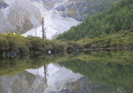雪山神山湖水倒影倒映绿树图片