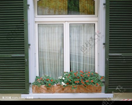 外窗绿化图片